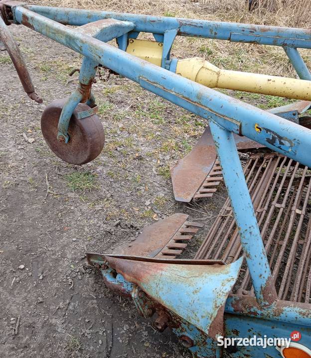 Kopaczka Pozostałe Augustów