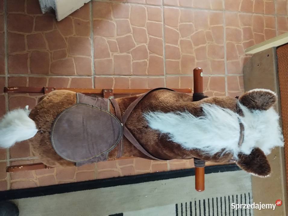 Konik na biegunach z melodyjkami Kamienica Polska