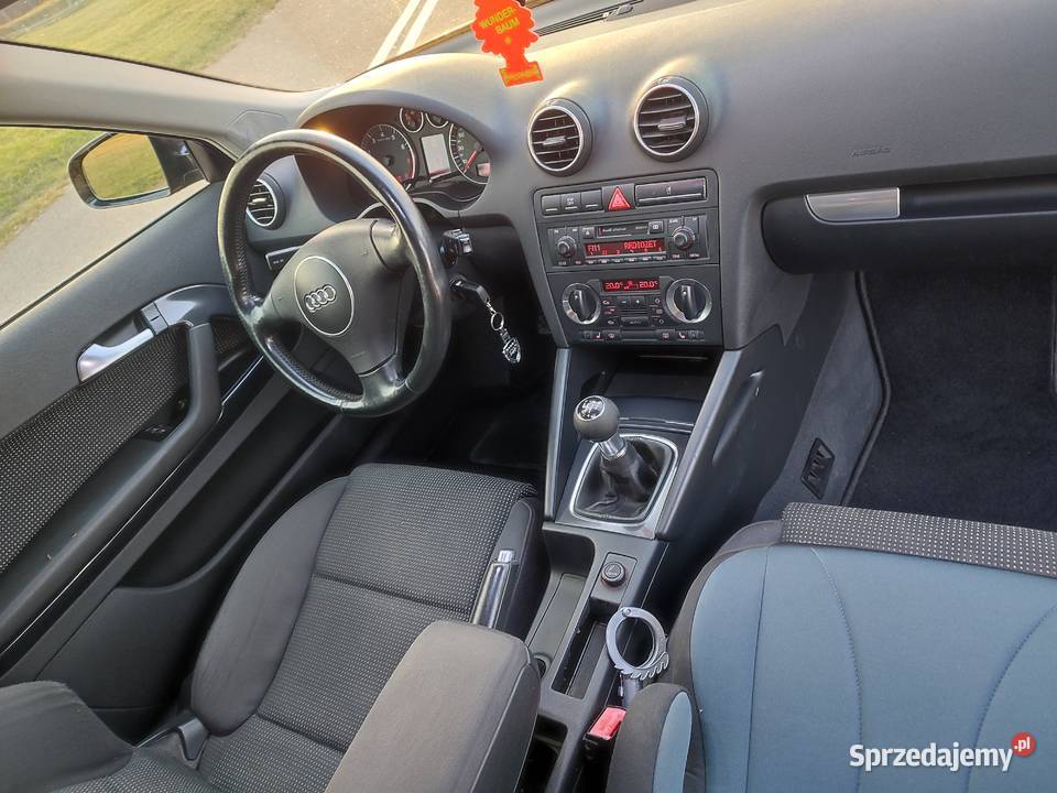 Audi A3 8p 16 Kurów