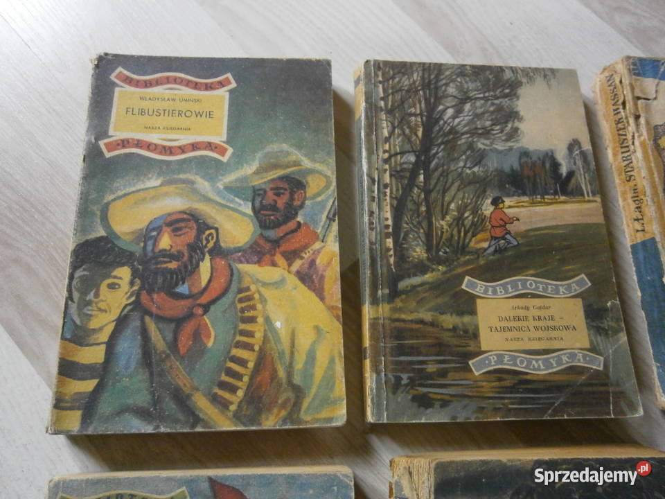 Biblioteka Płomyka stare książki 6 Łódź