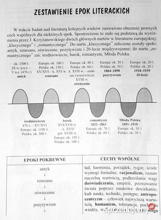 Vademecum Język polski Liceum technikum Wojciech Pozostałe