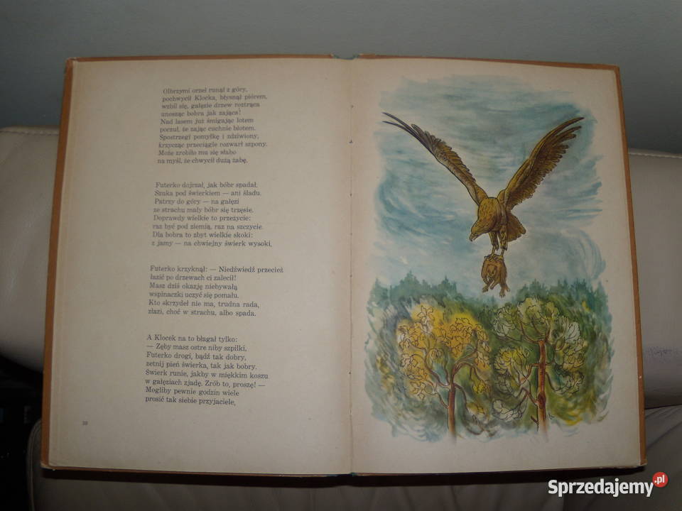 bóbr ukradkiem wędrował z niedźwiadkiem Warszawa