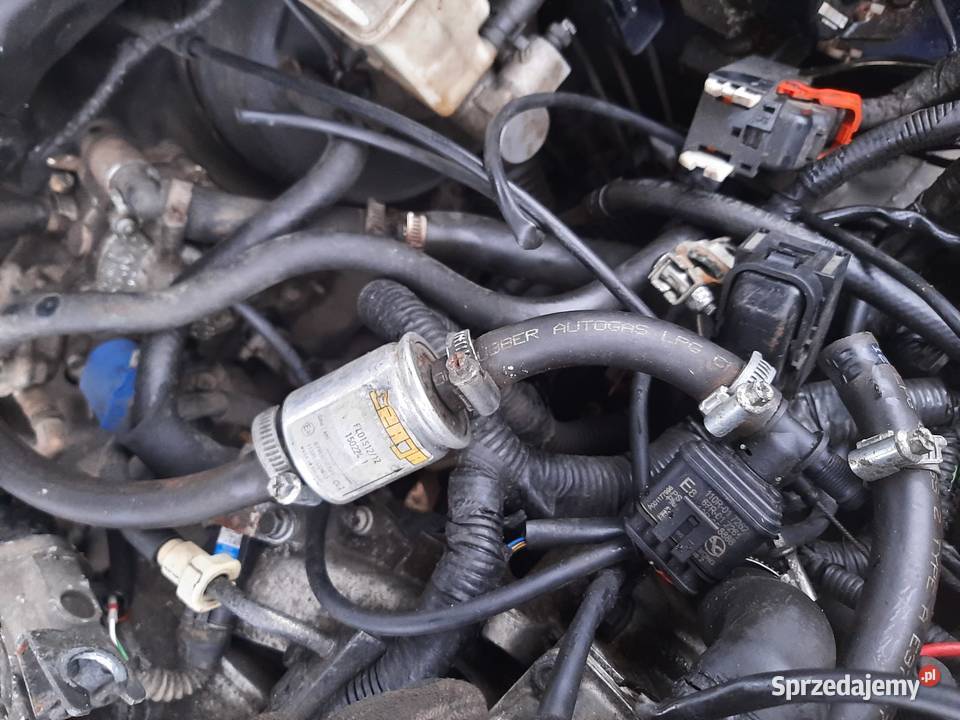 Instalacja Gazowa Stag sekwencja osobowe Elementy instalacji LPG Eligiów sprzedam