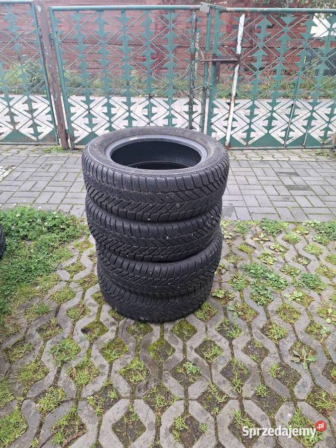 Opony Dębica Frigo 19560 R15 komplet