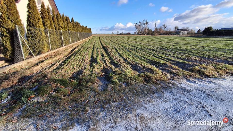 Działka budowlana GIEWARTÓW gm Ostrowite MPZP Giewartów sprzedam