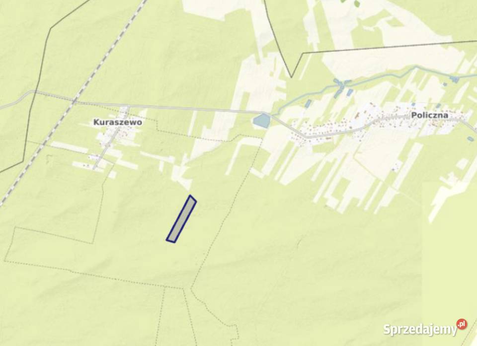 Sprzedam las 40 120 letni o powierzchni 295 ha sprzedam