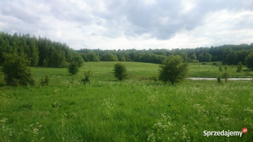 Kompleks działek 84ha z 8 WZ na Warmii Krekole