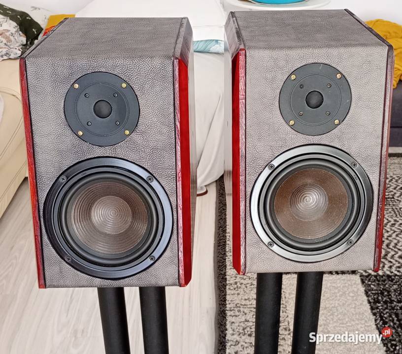 Kolumny głośnikowe diy Tesla AVRARN Łódź