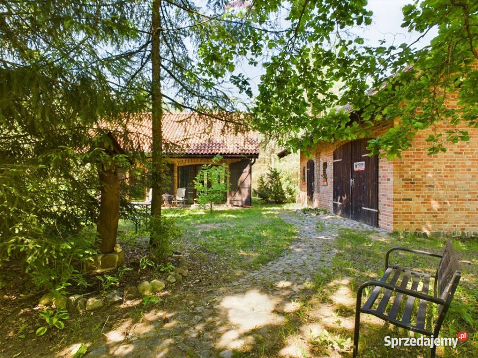 Siedlisko w otulinie lasu Sprzedaż Stryjkowo