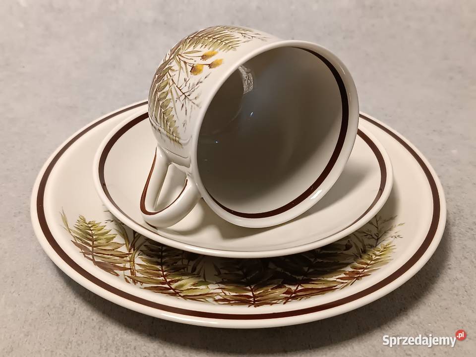WINTERLING Filiżanka Rslau Paproć Bavaria Trio zachodniopomorskie Dobrzany