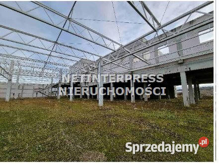 sprzedaży gruntu Nowy Targ 59972 metry Nieruchomości sprzedam