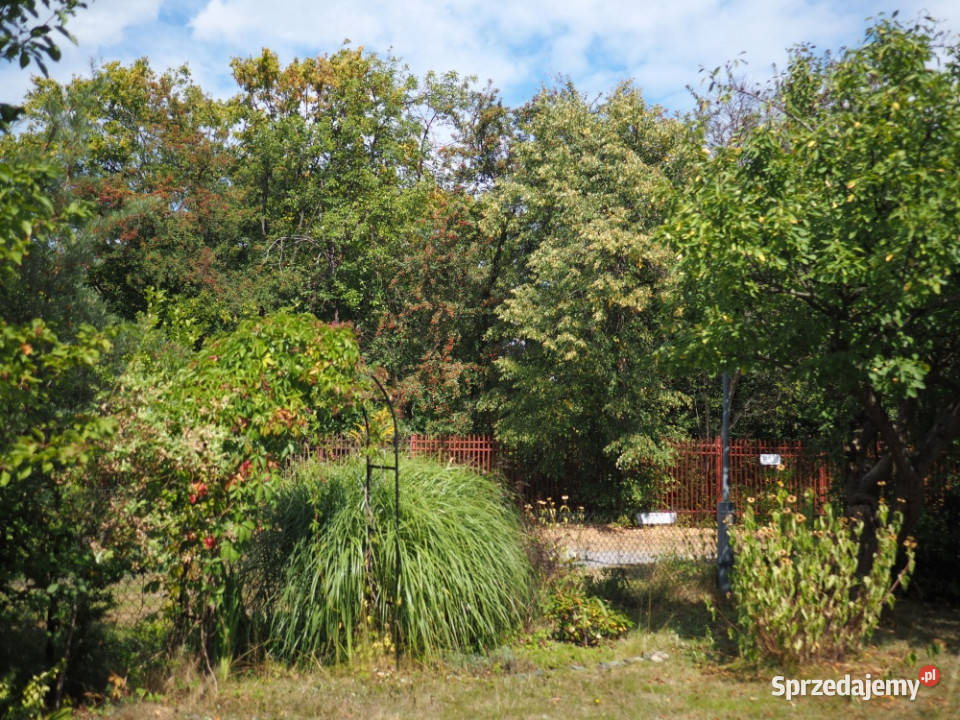 Sprzedam działkę ROD Ursynów 300m2 Warszawa