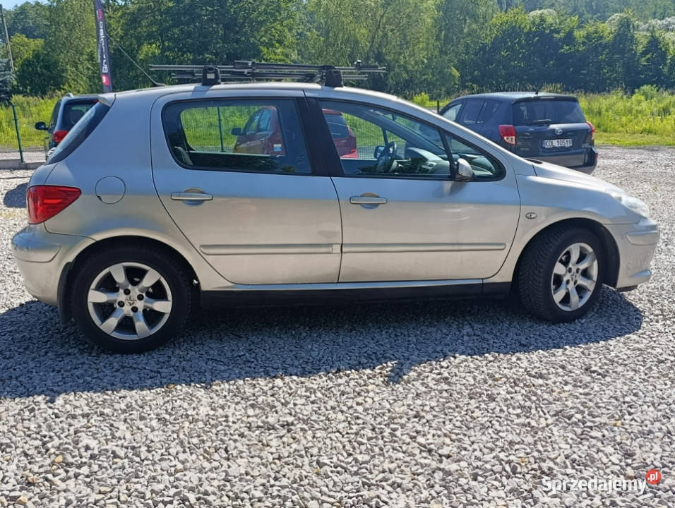 Peugeot 307 Krajowy benzyna 16 klimatyzacja II Dulowa