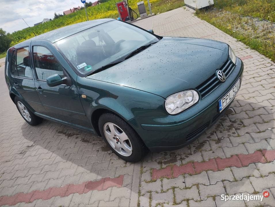 VW Golf 4 18 223 18 lat w rodzinie Jarocin