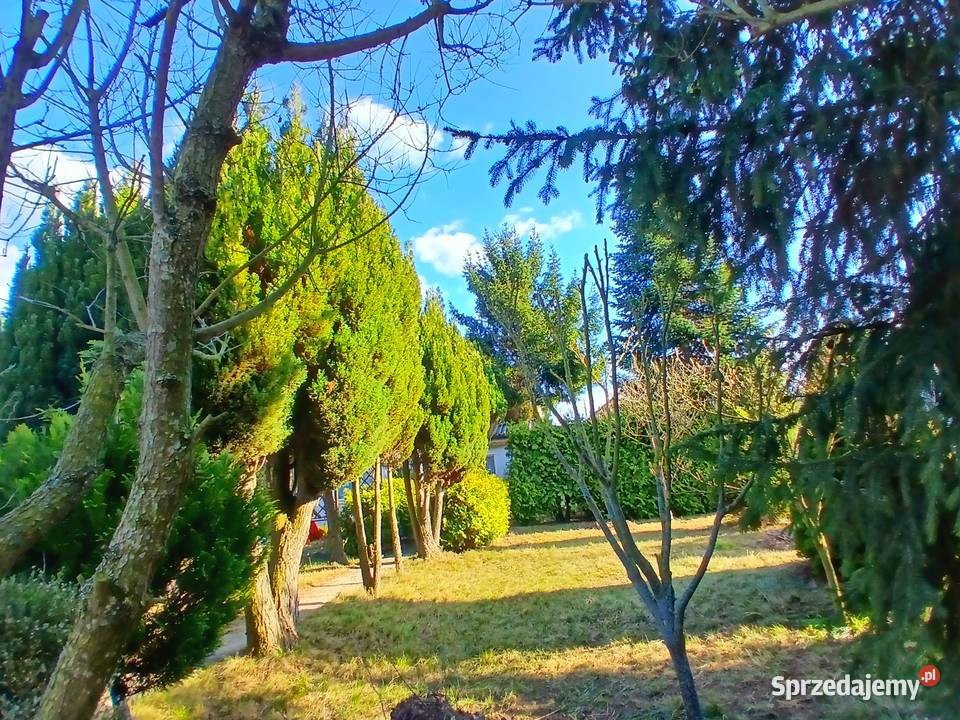 Działka ROD Szczecin Sprzedam 397zł/m2 zachodniopomorskie sprzedam