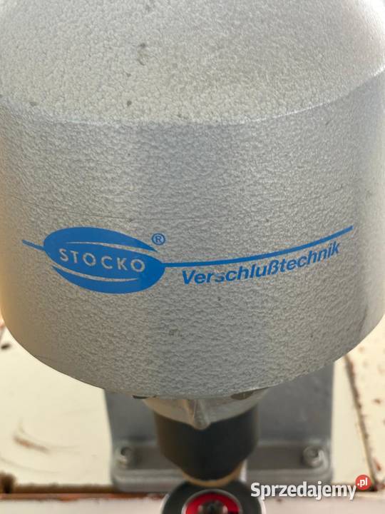 oczkarka stoco Szczecin