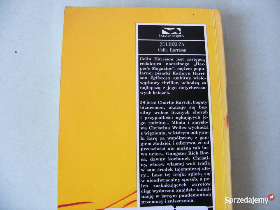 Zgliszcza Harrison Pejzaż w kolorze sepii dolnośląskie Oborniki Śląskie