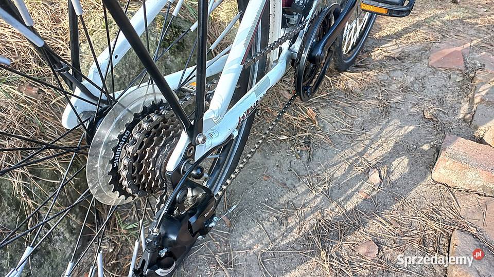 Alu Rower Młodzieżowy Dziecięcy Falter FX 421 Wołów