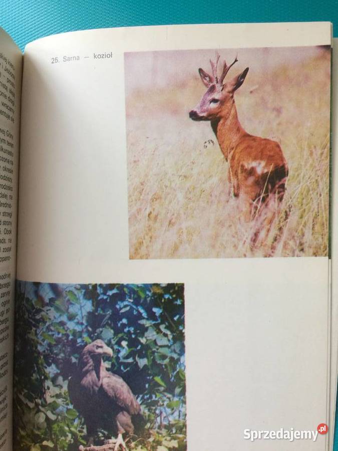 3429 Przewodnik Woliński Park Narodowy zachodniopomorskie Szczecin