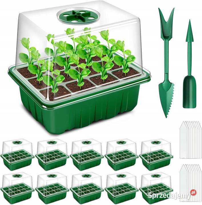 Tace na nasiona Myszyniec