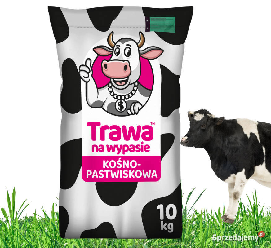 Nasiona Trawa pastewna łąkowa mieszanka Kośna Cieśle