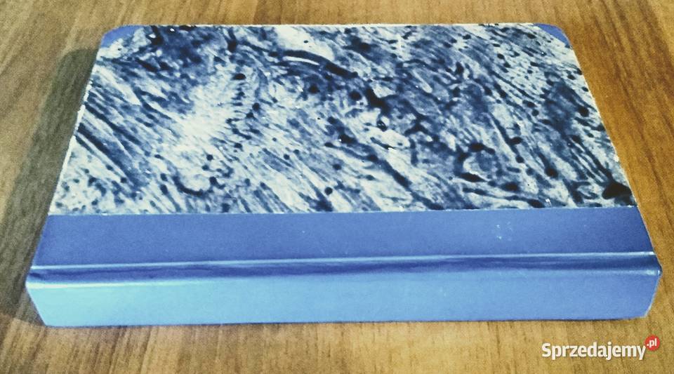 Bhagawad Gita Pieśń Pana przekł Wandy Dynowskiej