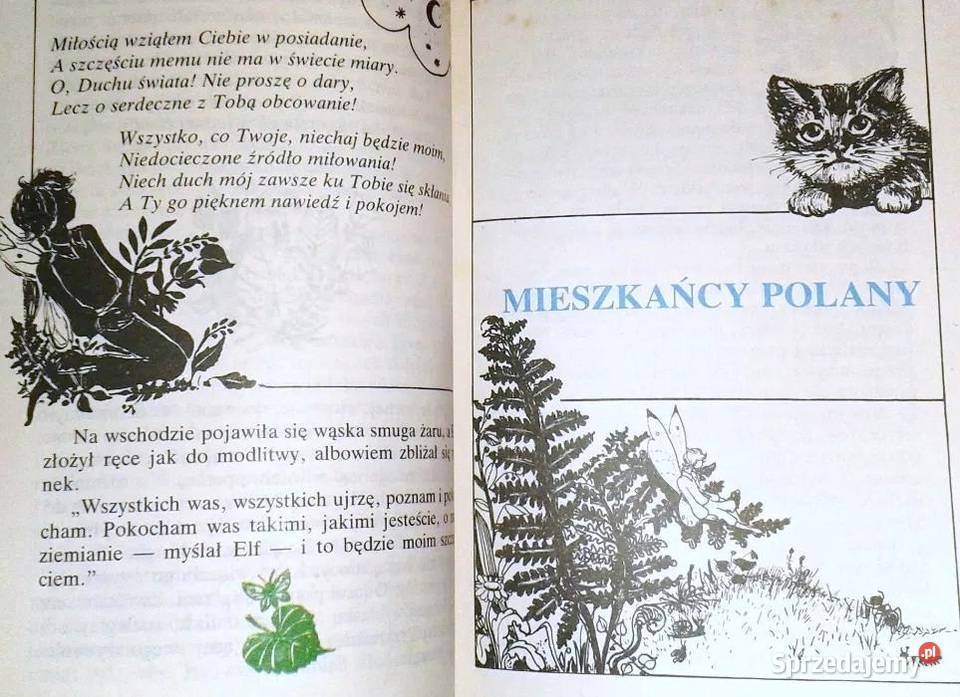 Boży ludek Waldemar Bonsels Chełm