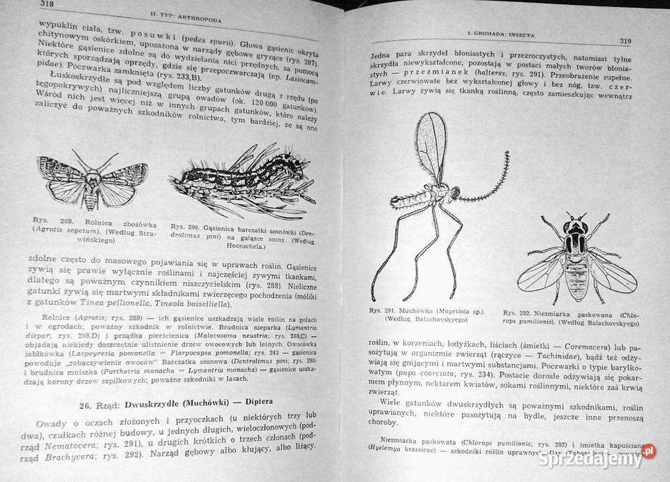 Zoologia Bezkręgowce Tom 12 Eugeniusz Grabda twarda lubelskie Chełm sprzedam