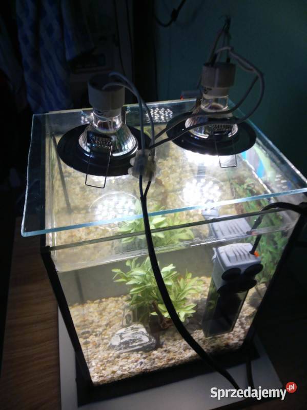 Akwarium kostka 10l Toruń