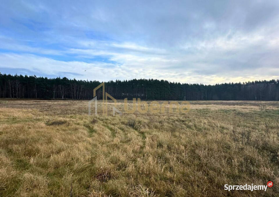 Działka rolna GmGoleniów na sprzedaż zachodniopomorskie Komarowo