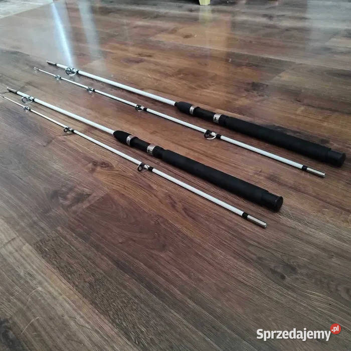 Mocne Wędki Sumowe Morskie 210 250 270
