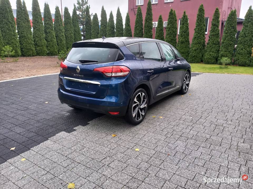 Renault Scenic Odolanów