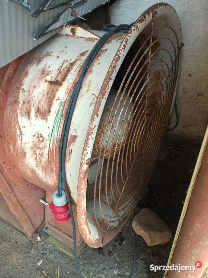 Sprzedam wentylator do czyszczenia cebuli i Inowrocław