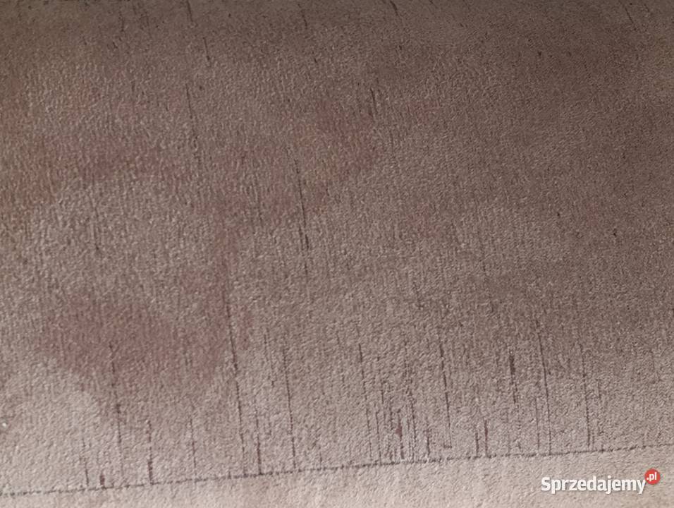 kanapa łóżko tapczan sofa wyczyszczona wielkopolskie Poznań