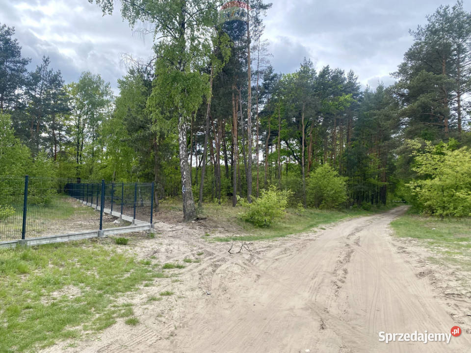 Duża piekna działka Puszczy Słupeckiej siatka Sieraków