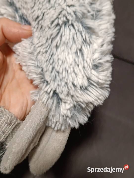 zabawka pluszowa maskotka pluszak foka kolejna wielkopolskie Poznań