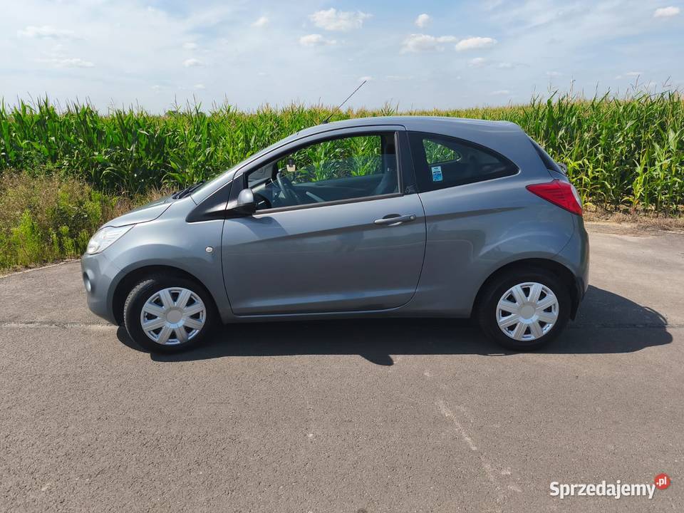 Ford ka 2014 salon polska 4/5 Nekla sprzedam