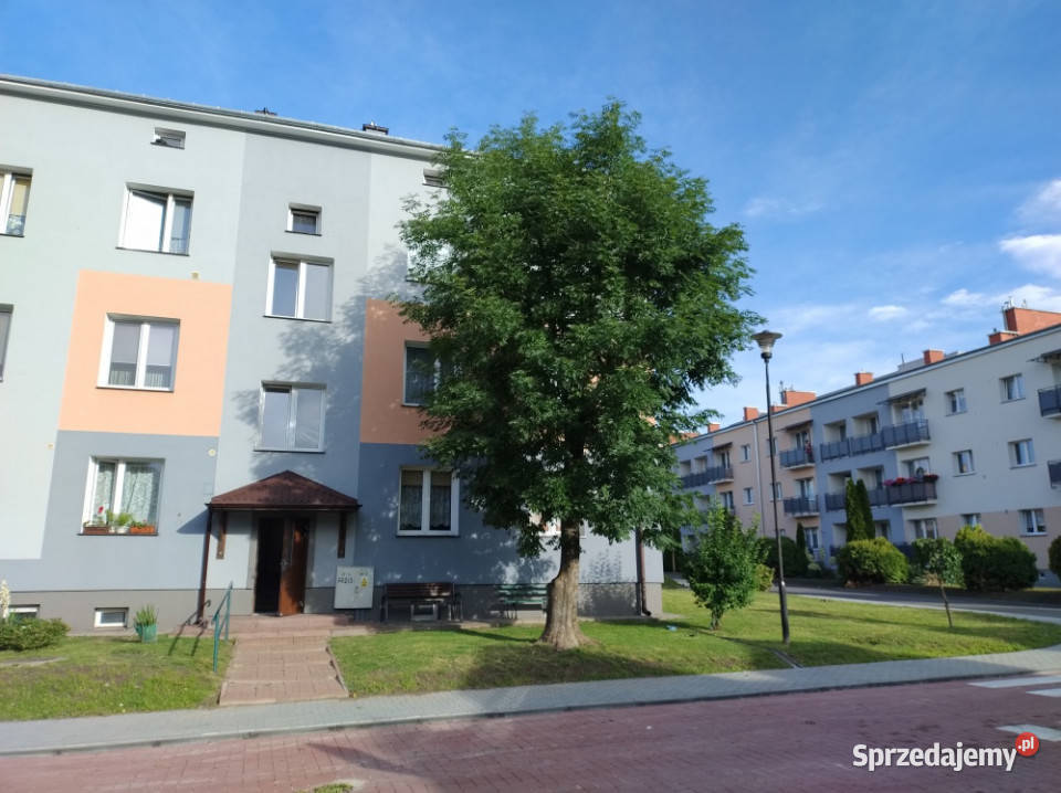 2 pokoje 45 m centrum Rejowiec Fabryczny niski