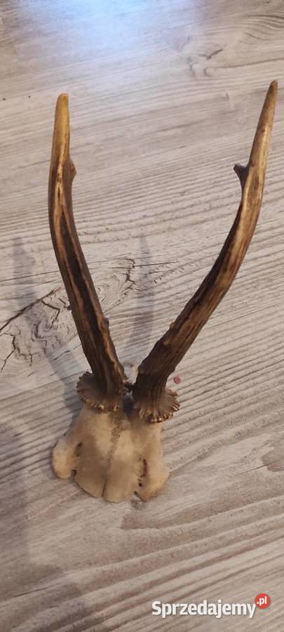 Paroski Częstochowa