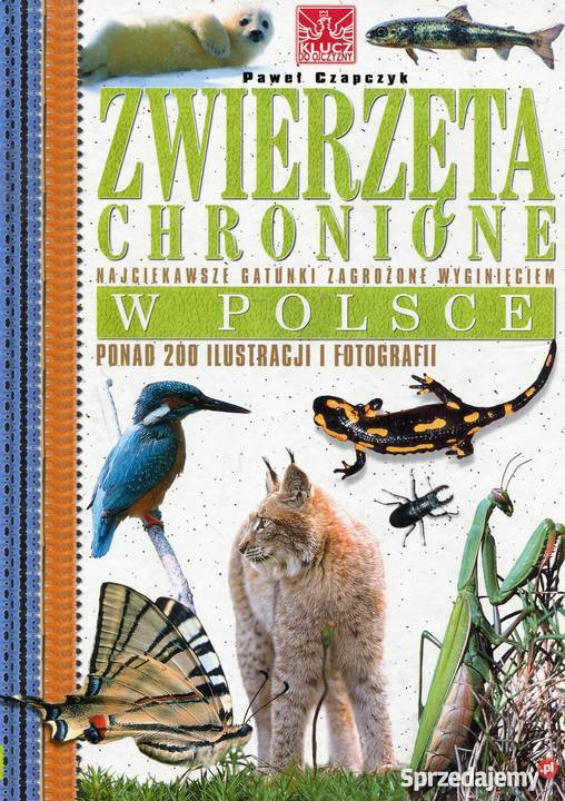 Zwierzęta chronione w Polsce zachodniopomorskie