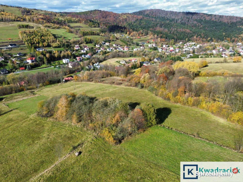 Ziemia 2000m2 RymanówZdrój Rymanów-Zdrój sprzedam