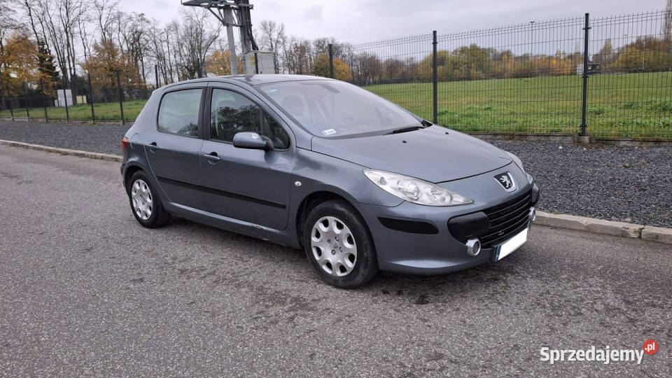 Peugeot 307 Peugeot 307 14 LPG GAZ Klima Pabianice sprzedam