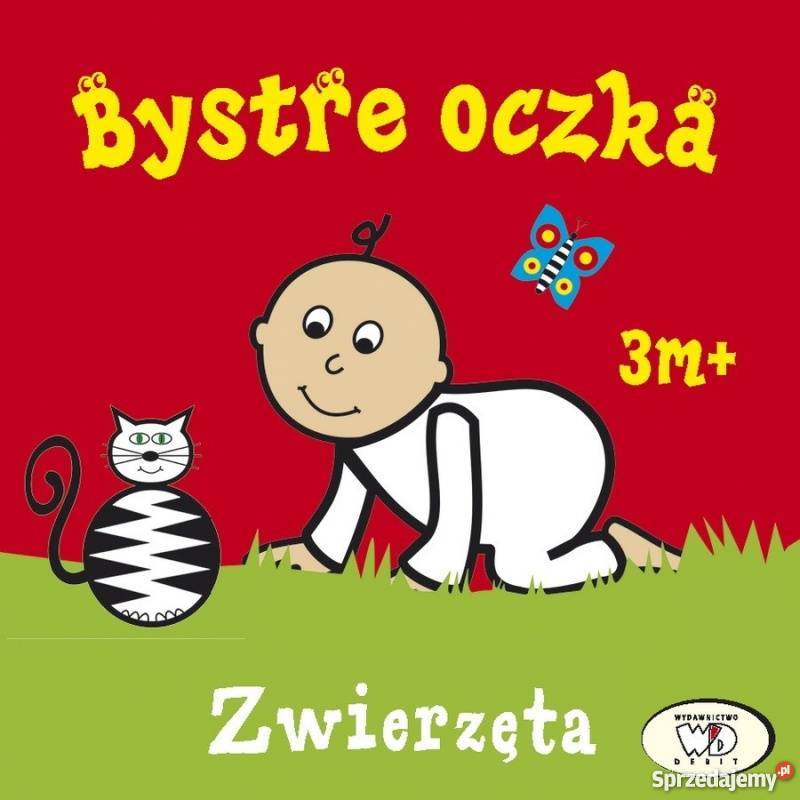 Bystre oczka Zwierzęta Warszawa