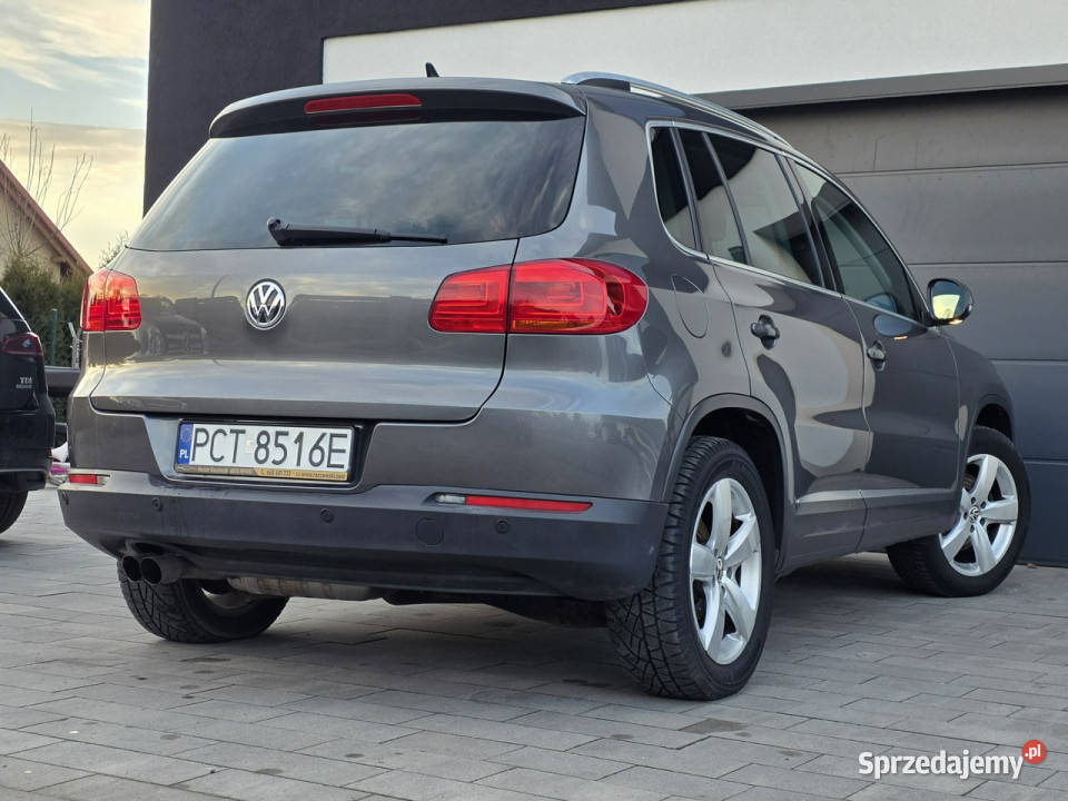 Volkswagen Tiguan benzyna ALCANTARA wielkopolskie Czarnków