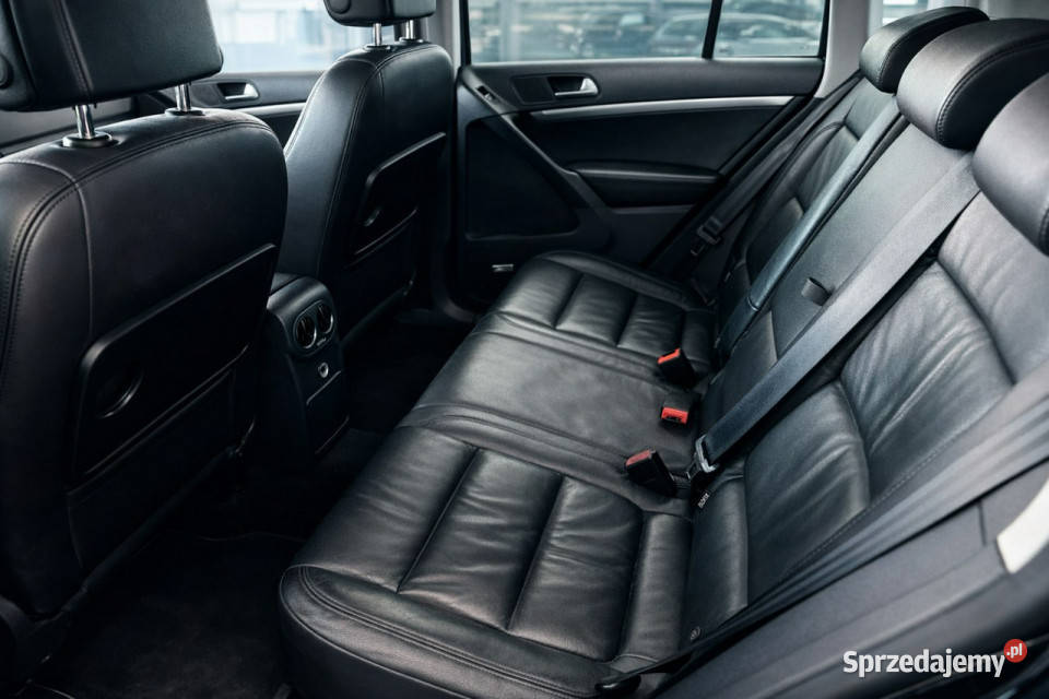 Volkswagen Tiguan I 20072016 lakier metallic Sadlno