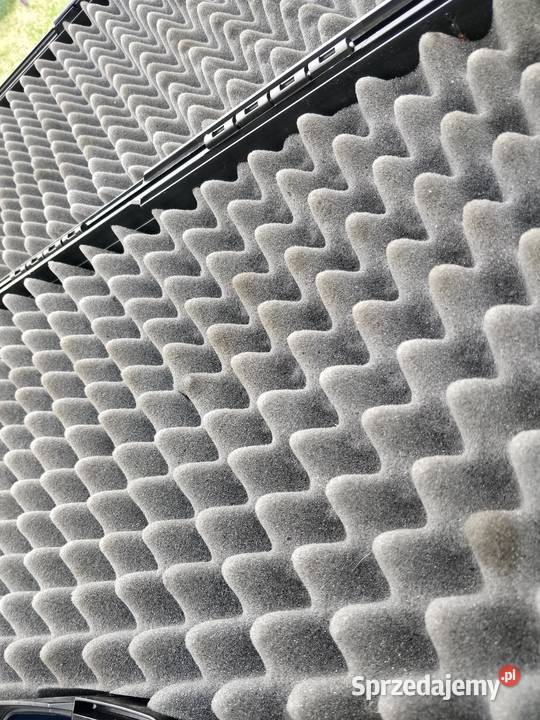 Kufer walizka pokrowiec na wiatrówkę broń wielkopolskie Puszczykowo