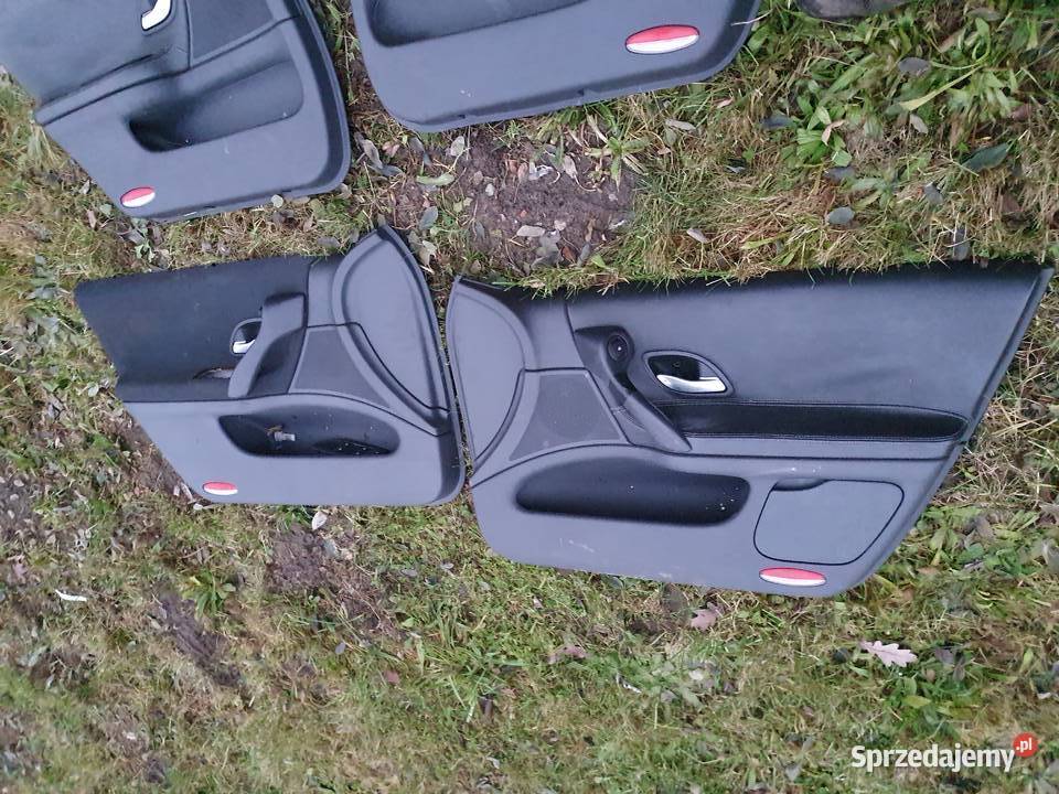 Boczki drzwi skórzane roletki Renault Laguna II Rok produkcji 2004 Kraków