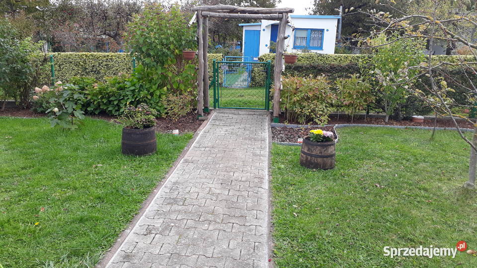 Działka ROD im Mikołaja Reja w Gdyni Zielona 2 Gdynia
