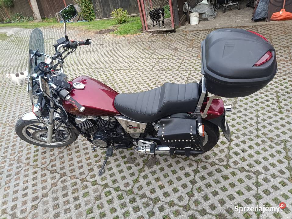 Honda VT500 1987r małopolskie Łukowica