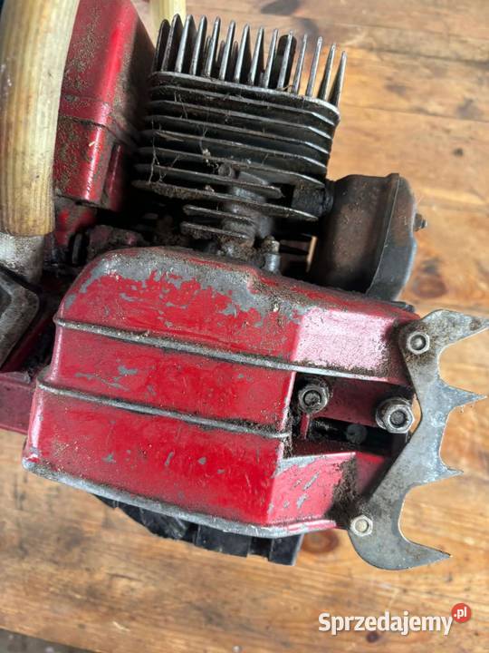 Piła dolpima Chorzele